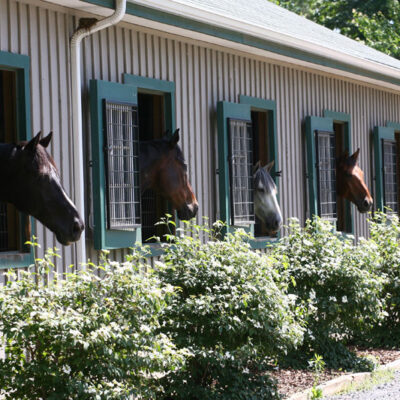 V19B3411 (1) V19B3411 (1)